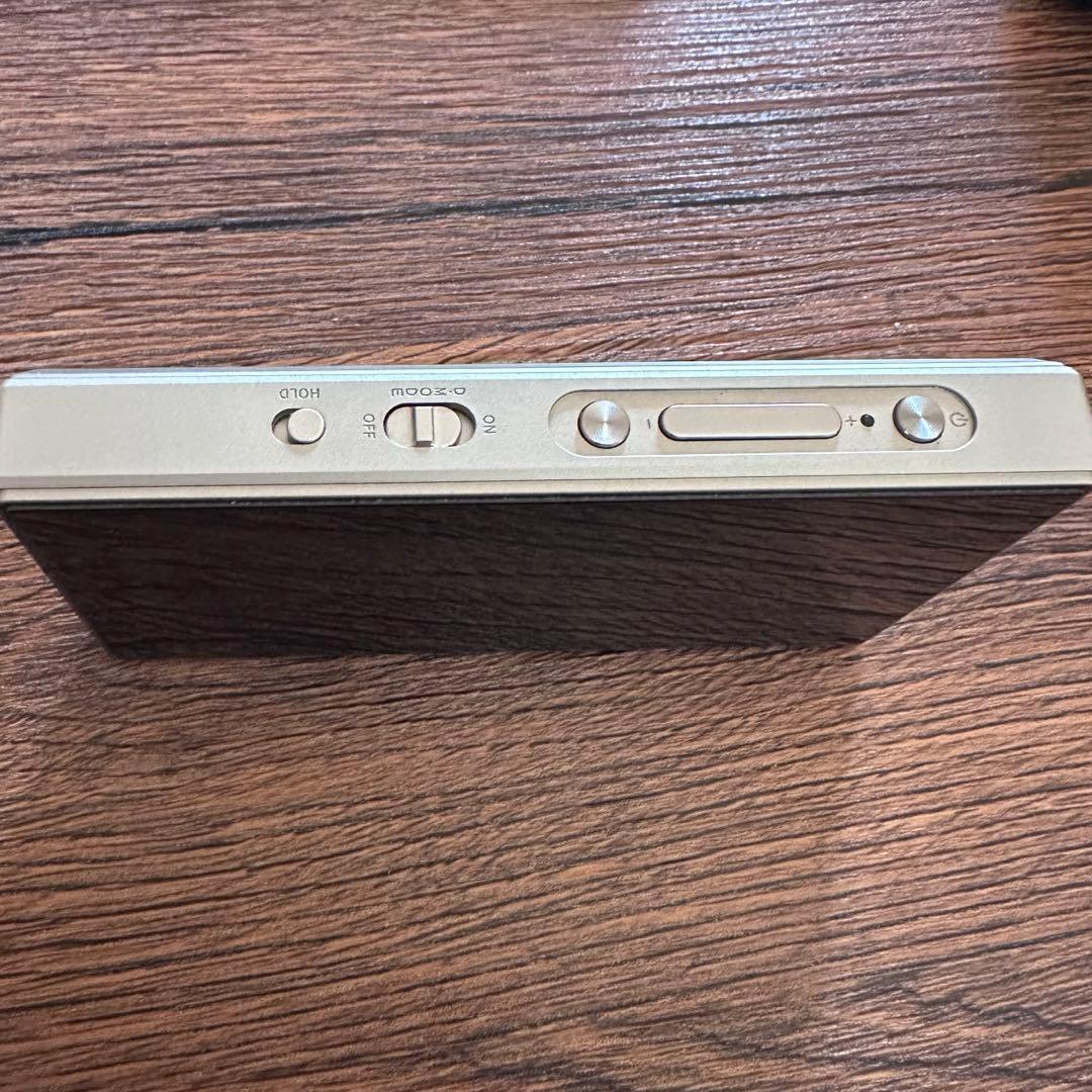 ふっくん FiiO M21 デジタルオーディオプレーヤー +ケース付き