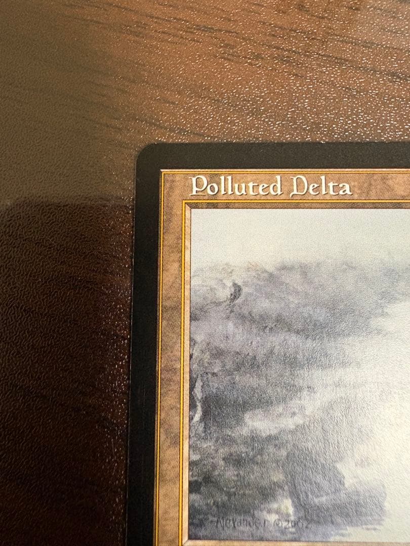 Polluted Delta 汚染された三角州