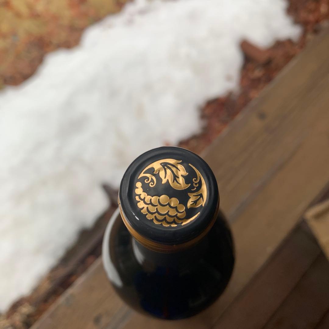 デュオ　ダミ　2017 ②