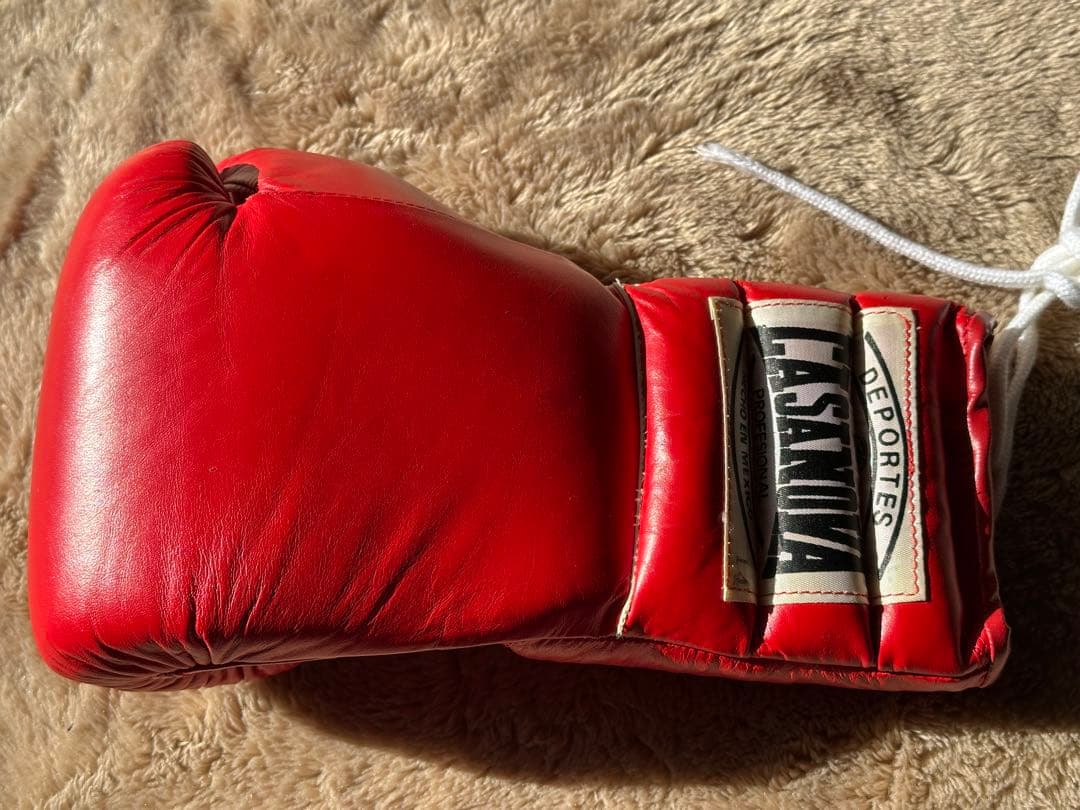 カサノヴァボクシンググローブ