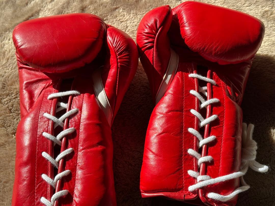 カサノヴァボクシンググローブ