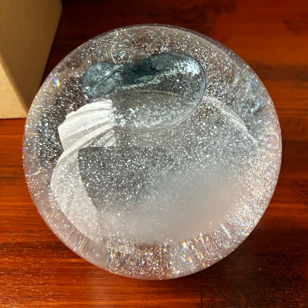 金津沙矢香　スノードーム