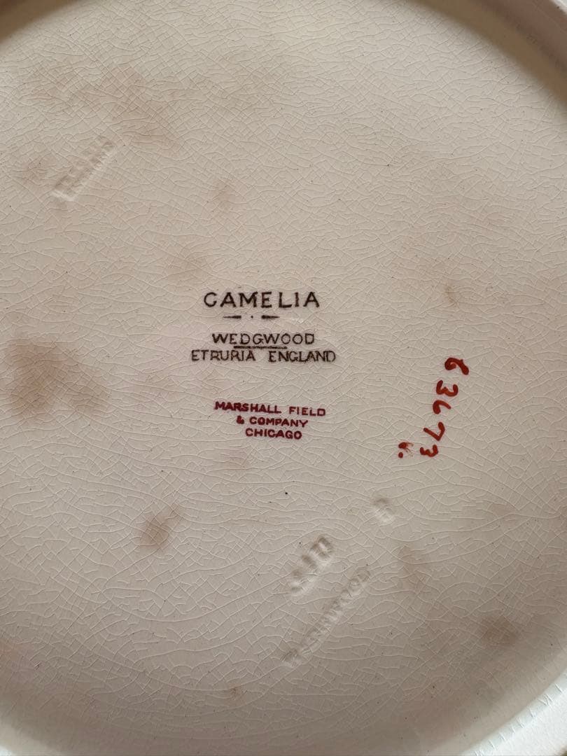 1890年　wedge wood Camellia イングランド 色絵 大皿