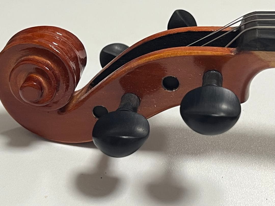 Eastman SVL80セット 4/4 バイオリン 初心者セット イーストマン