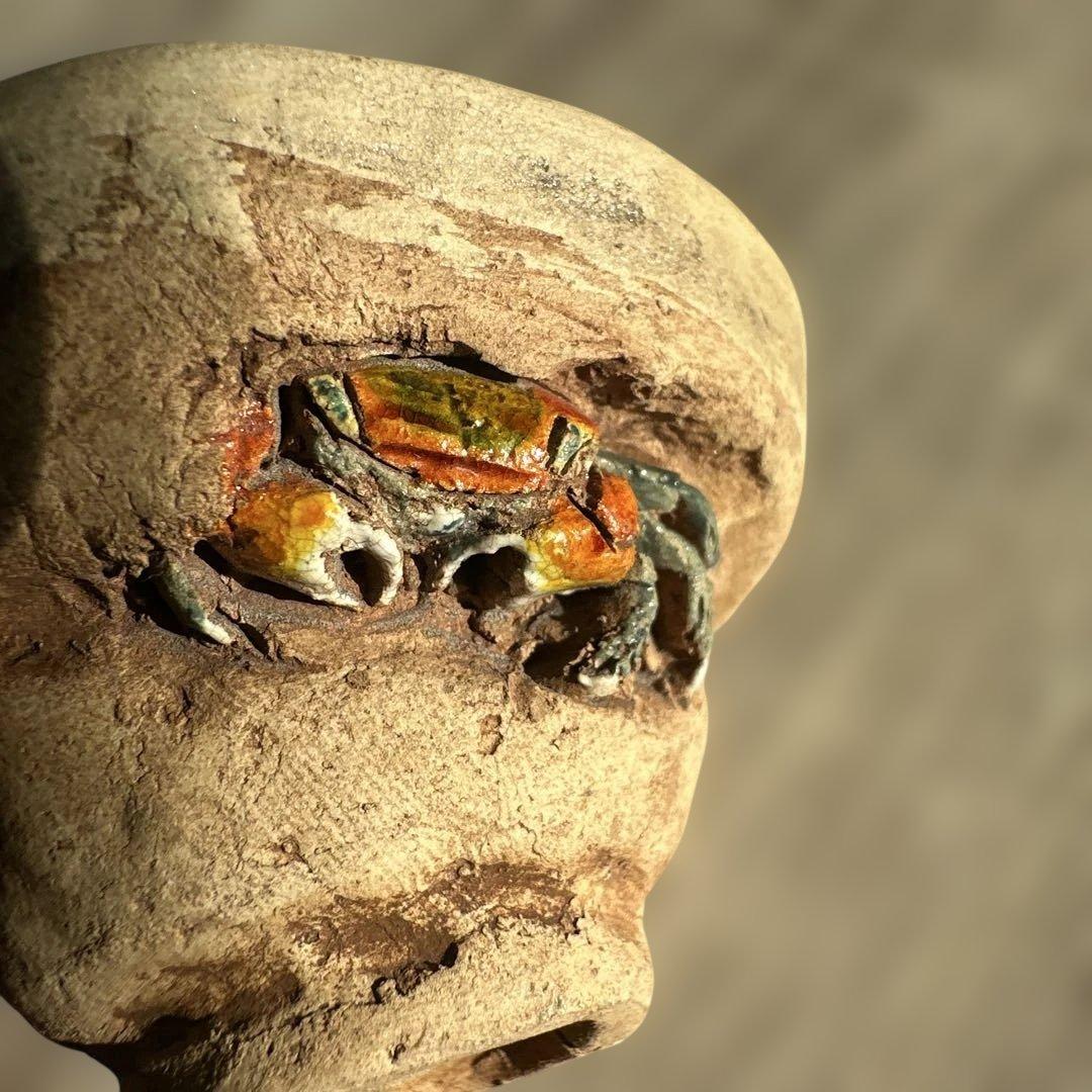 楽山焼　二六焼　水月焼　お猪口　蟹　酒器