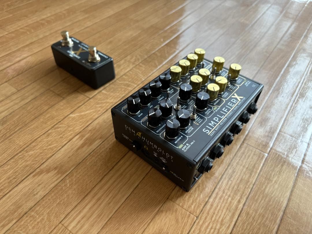 ギター DSM&HUMBOLDT SIMPLIFIER X