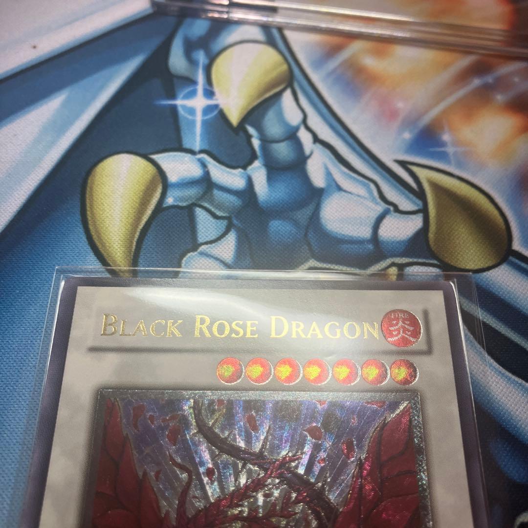 ブラック・ローズ・ドラゴン　レリーフ　英語　②