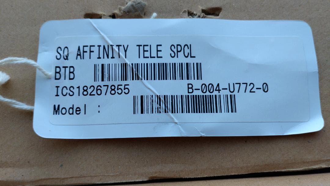 SQUIER テレキャスター Affinity バタースコッチブロンド