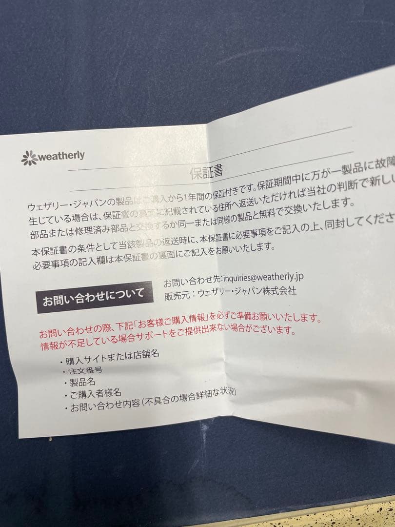 Translator Earbuds ベージュ フック型