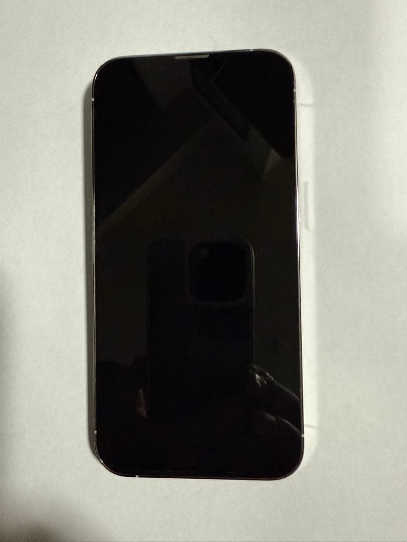 Apple iPhone 13 Pro シルバー 本体　ジャンク品