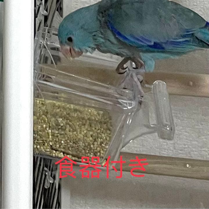 新品　鳥かご インコケージ ペットケージ 小動物ケージ