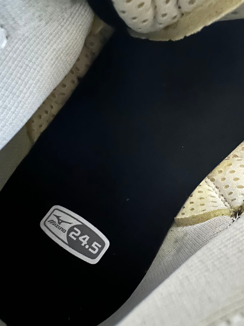 24.5cm！ミズノ スペシャルオーダー 折り返し ボクシングシューズ