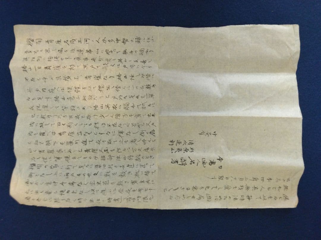 櫻間青厓【遊鯉之図】絹本　掛軸（杉原夷山／清水退軒）