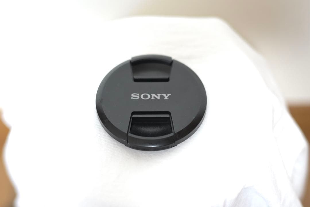 レンズ(ズーム) SONY SEL24105G