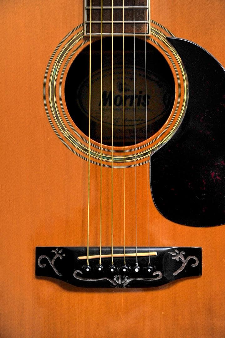 ★MORRIS Wシリーズの華やかな場面で演出を高める【彫刻装飾ギター】