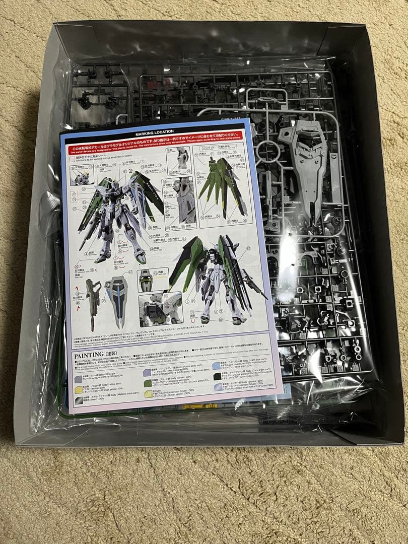 限定品　MG 1/100 フリーダムガンダム　(リアルタイプカラー Ver.)