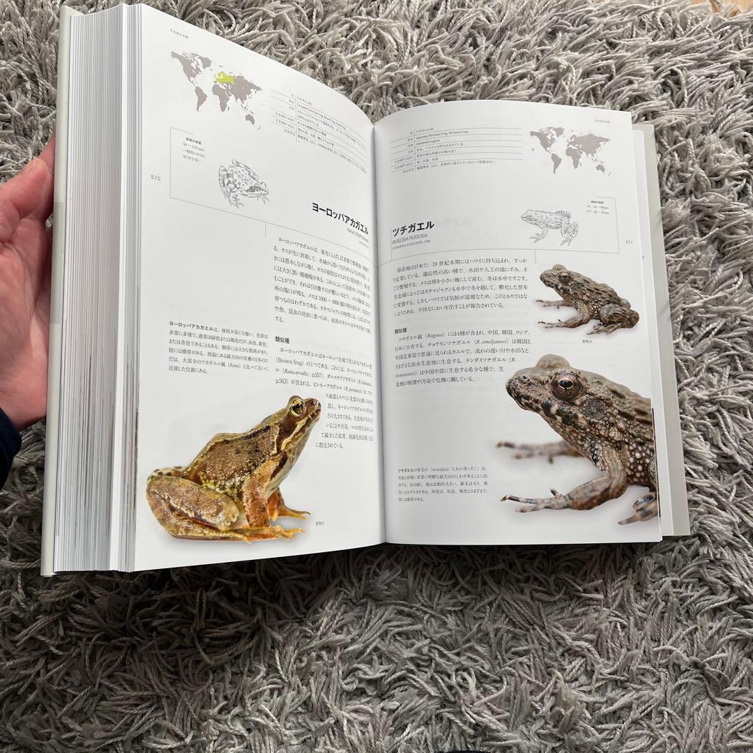 世界のカエル大図鑑