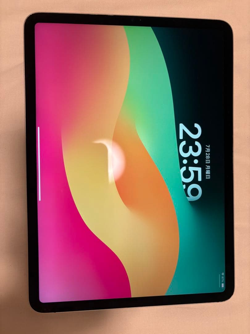 Apple iPad Pro 第四世代　128gb シルバー 本体