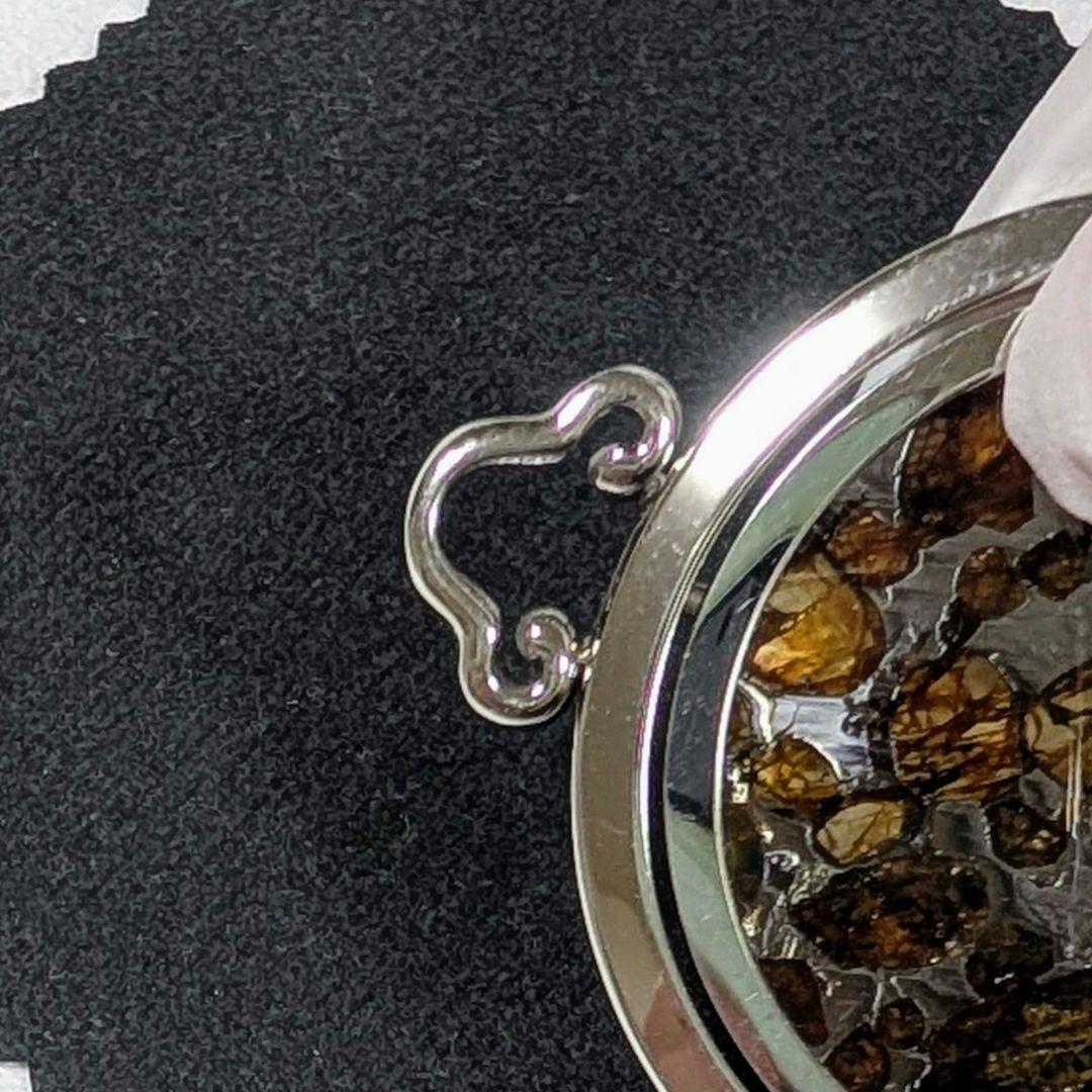 石鉄隕石（セリコ パラサイト）ペンダント トップ【鑑別書付】