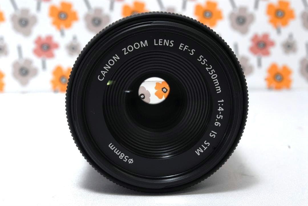 ❤Canon EF-S 55-250mm IS STM❤極美品❤大人気望遠レンズ