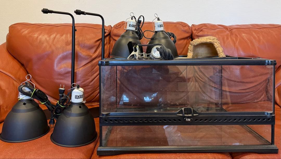 エキゾテラ　6030 色々セット