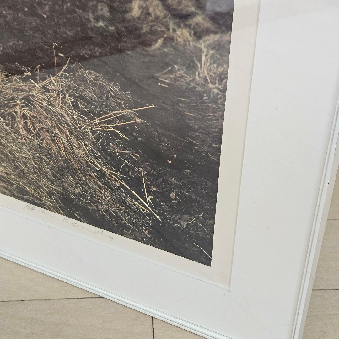 1985年 限定18部 小本章 シルクスクリーン 版画 seeing 真作