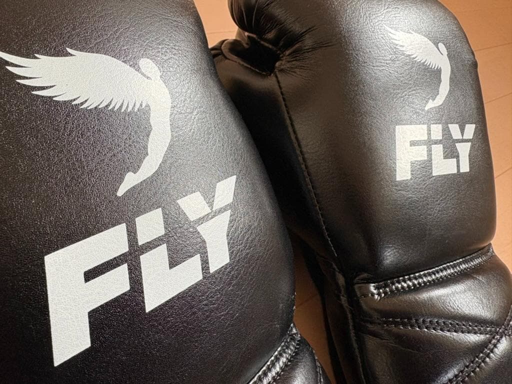 FLYsports ボクシンググローブ（紐式14oz）