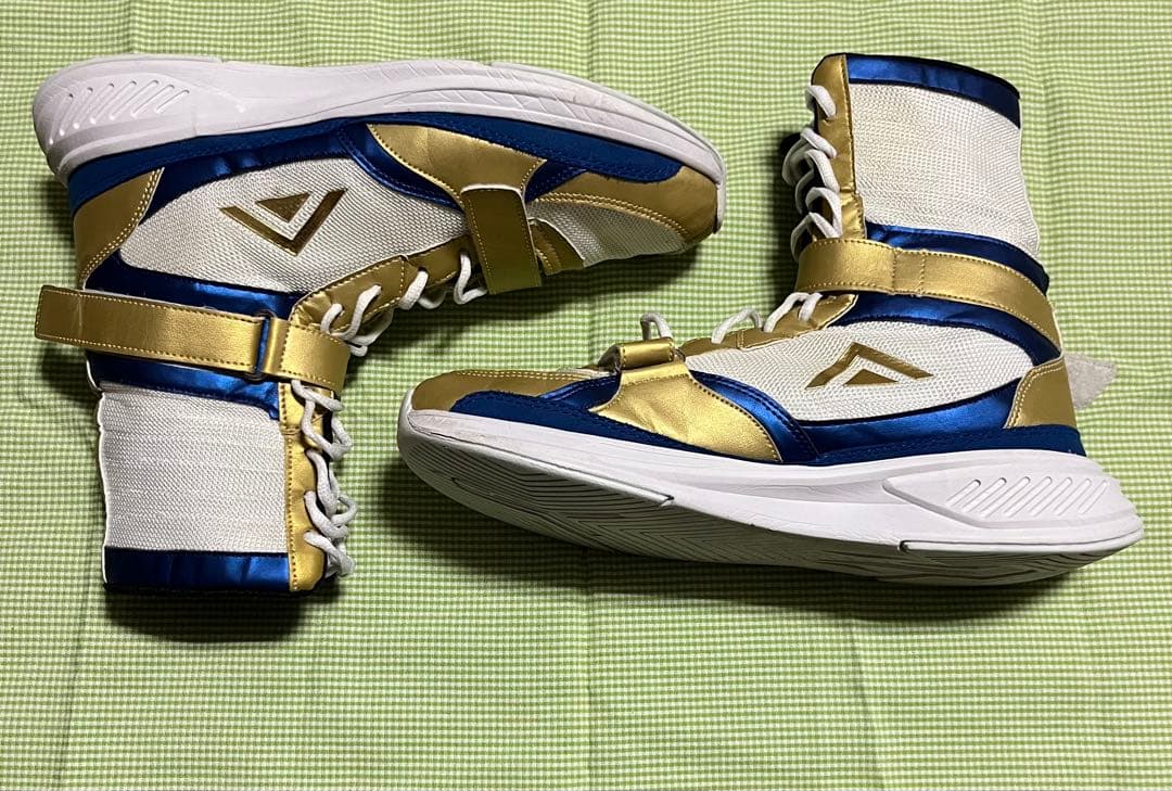 Adams ボクシングシューズ　アダムスVトレーナー3.0 27cm