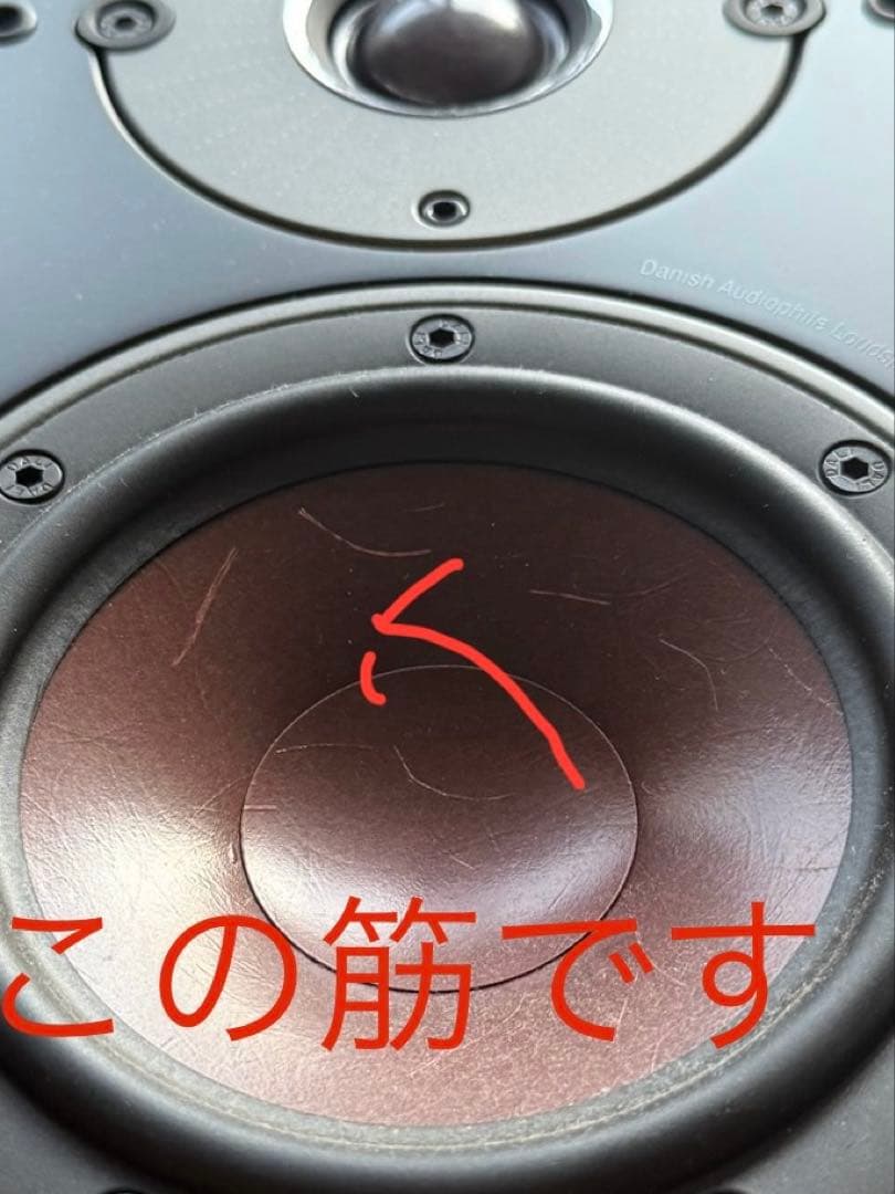 DALI OBERON 1 DW (ダークウォルナット) 元箱付き