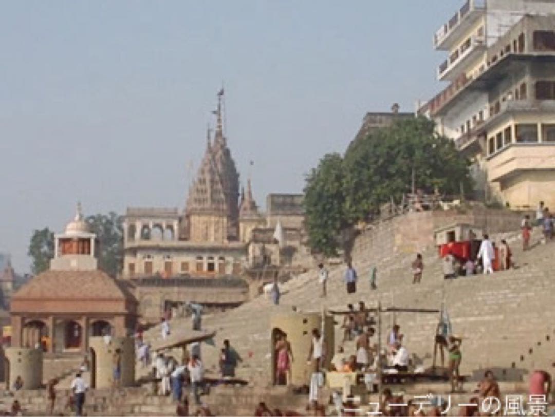 ミッタルティー　ピーチ・カモミール　印度緑茶葉100gパウチ袋入り