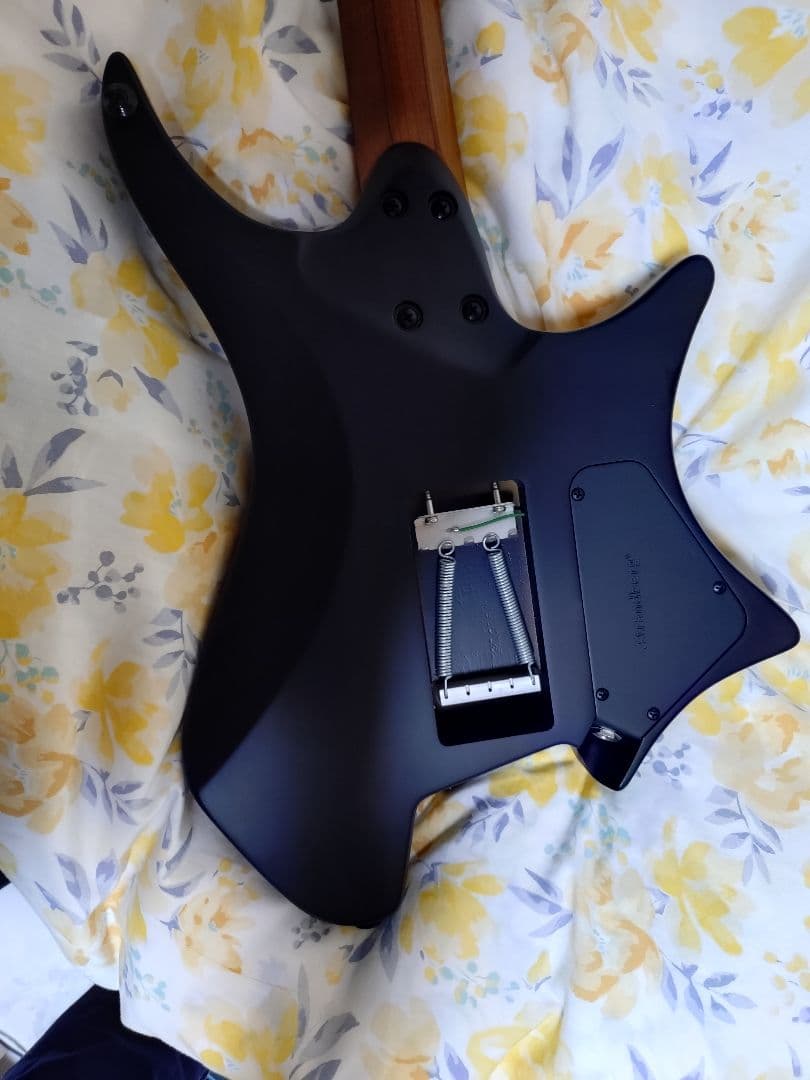 ギター strandberg Boden Standard NX 6 Lefty