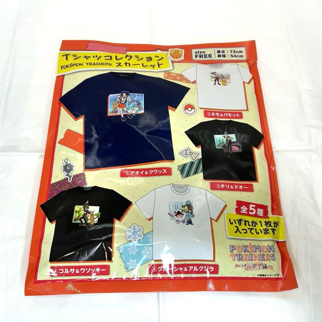 金のコイキング入り！合計22点　ピカピカボックス2026.2025