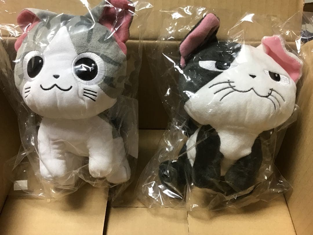 こねこのチー　ぬいぐるみ　2体セット
