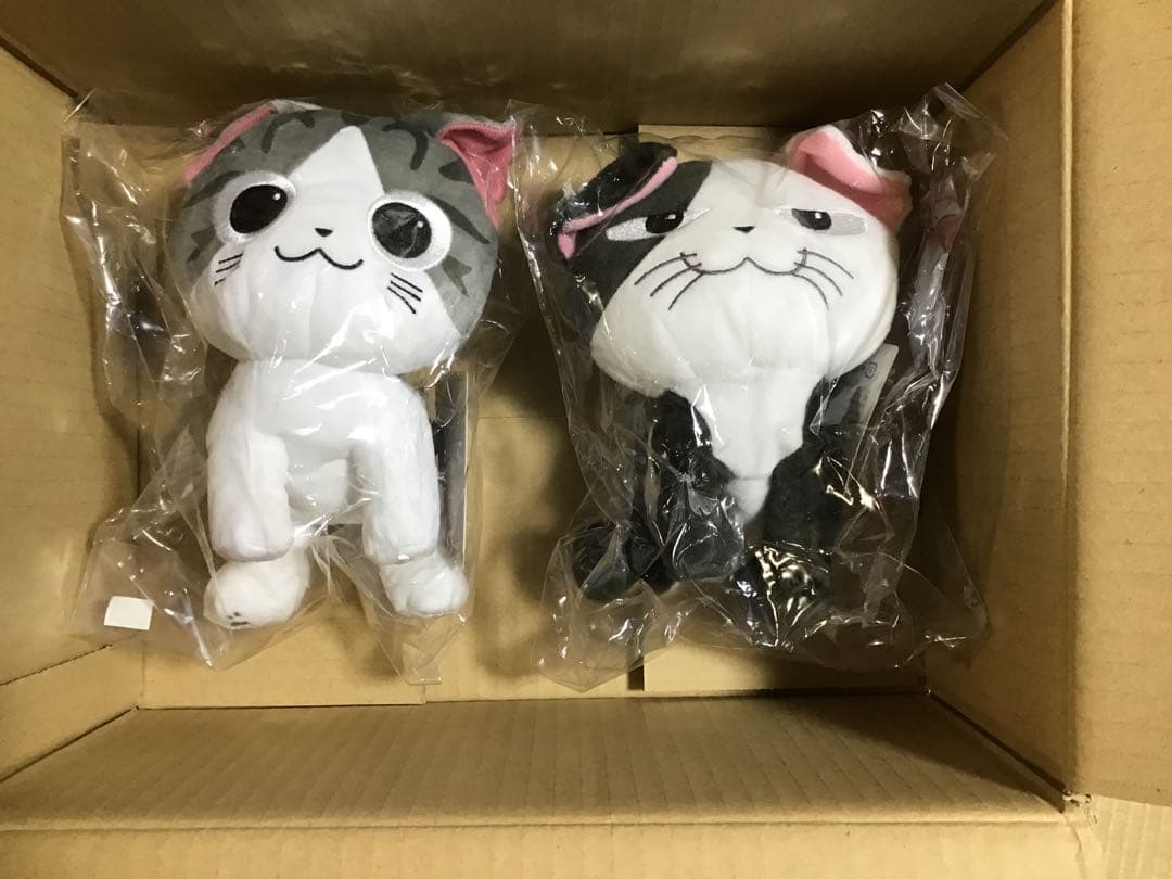 こねこのチー　ぬいぐるみ　2体セット