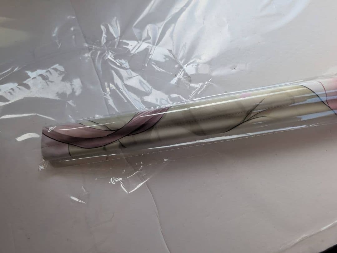 C107 さぼてん農場さぼてんむし会場限定ダブルスエード B2タペストリー 2種