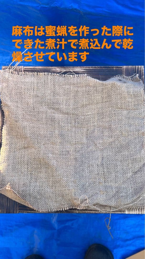 ニホンミツバチ巣箱　待箱　気候変動対応型　板厚4.5cm