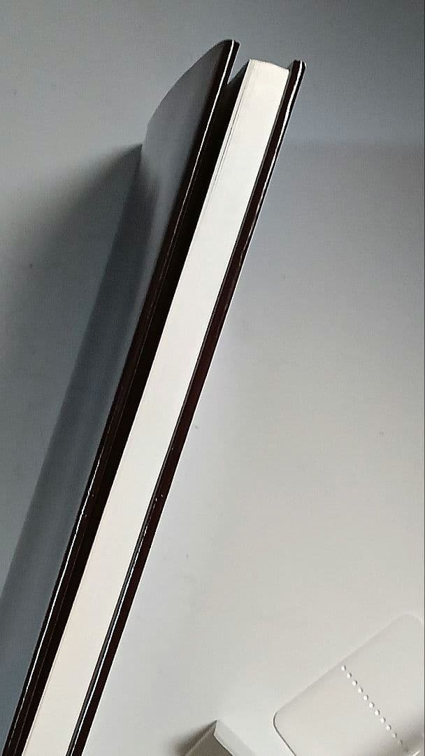 プラハの光 JOSEF SUDEK 写真集