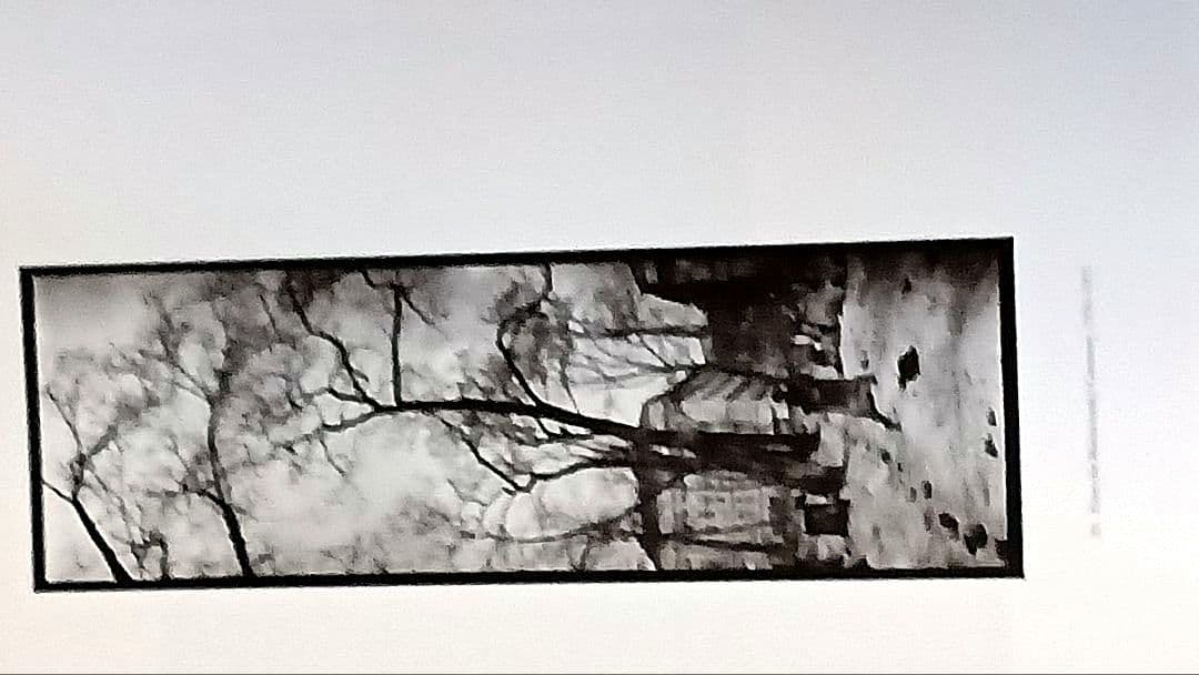 プラハの光 JOSEF SUDEK 写真集