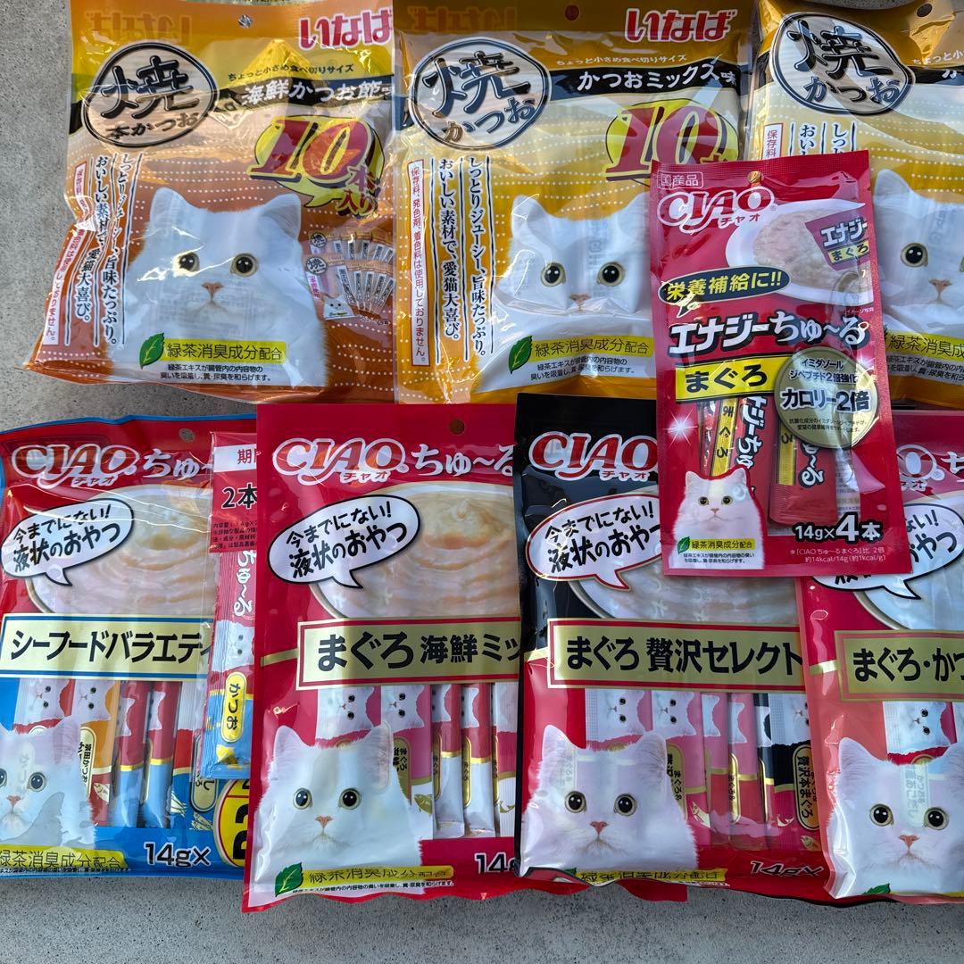 キャットみぃちゃん　画像1 +9