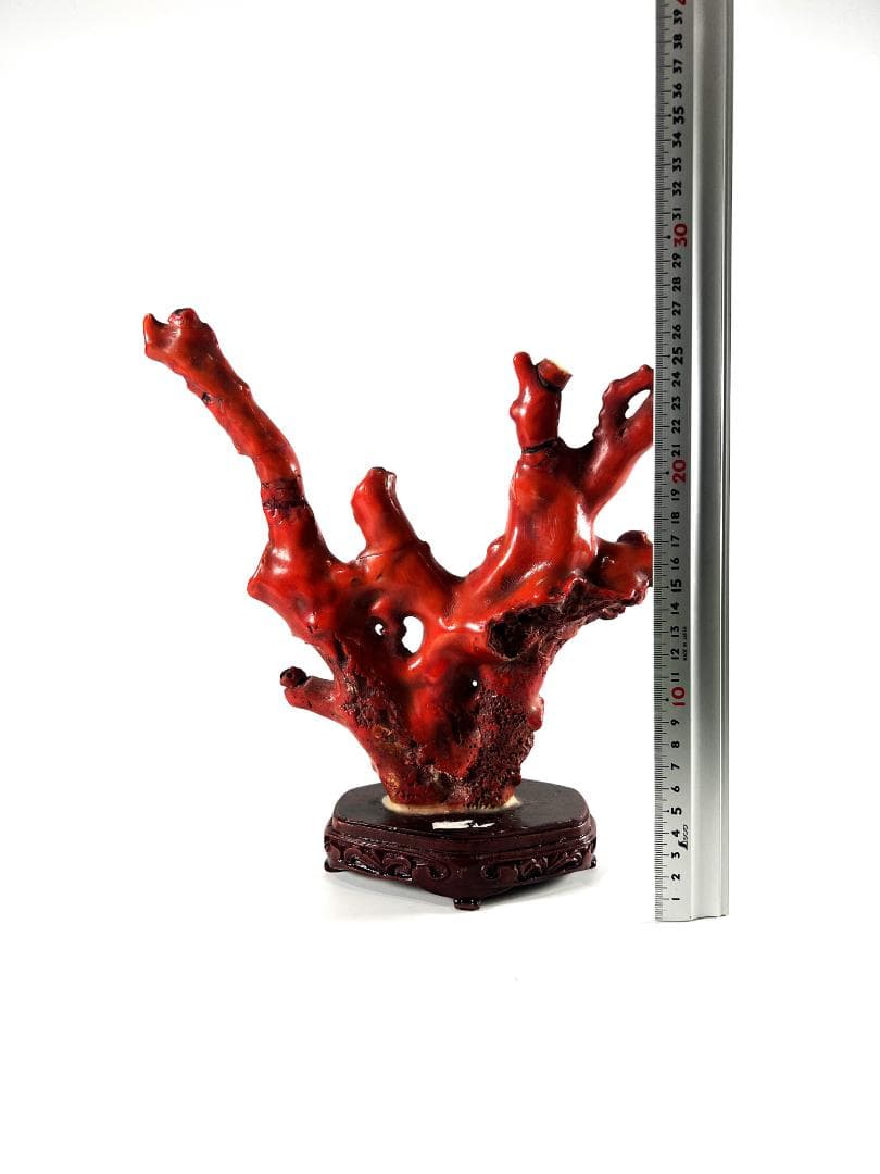 【送料無料・蔵出し品】珊瑚　珊瑚礁　赤珊瑚　台座付　飾り　詳細不明　写真参照