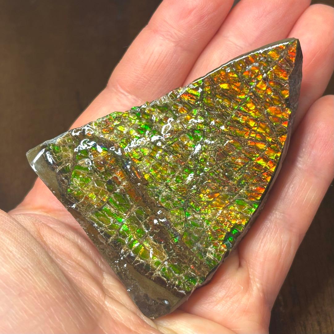 カナダ産 アンモライトドラゴンスキン 樹脂スタビライズ加工 天然宝石 化石 標本