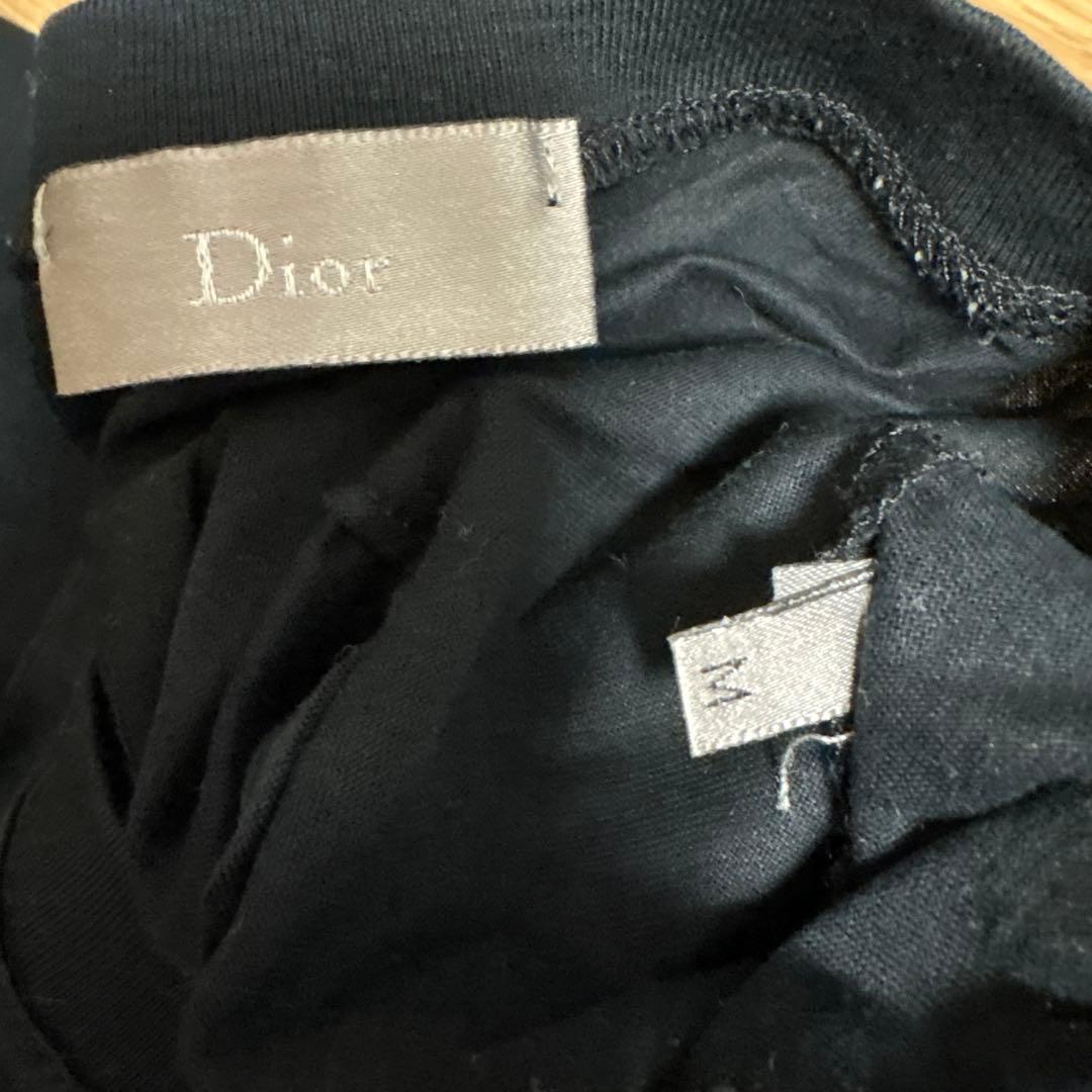 06SS Dior Homme Bee刺繍 ブラック Tシャツ M エディ