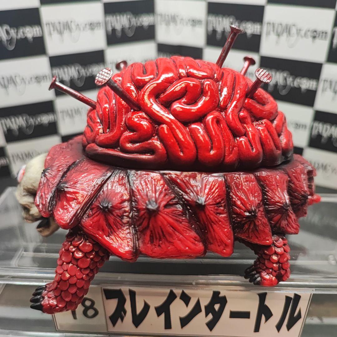 98ブレインタートル