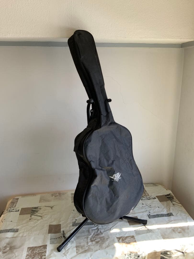 Valencia アコースティックギター オレンジ