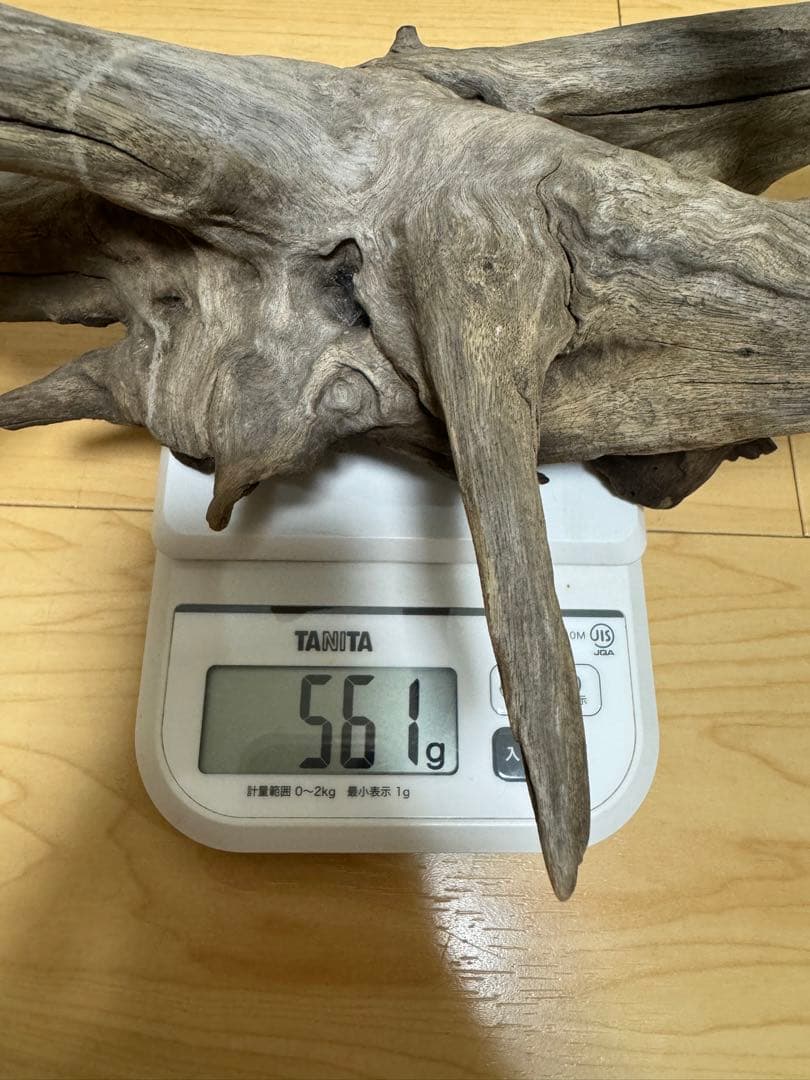 アクアリウム　熱帯魚　レイアウト　流木