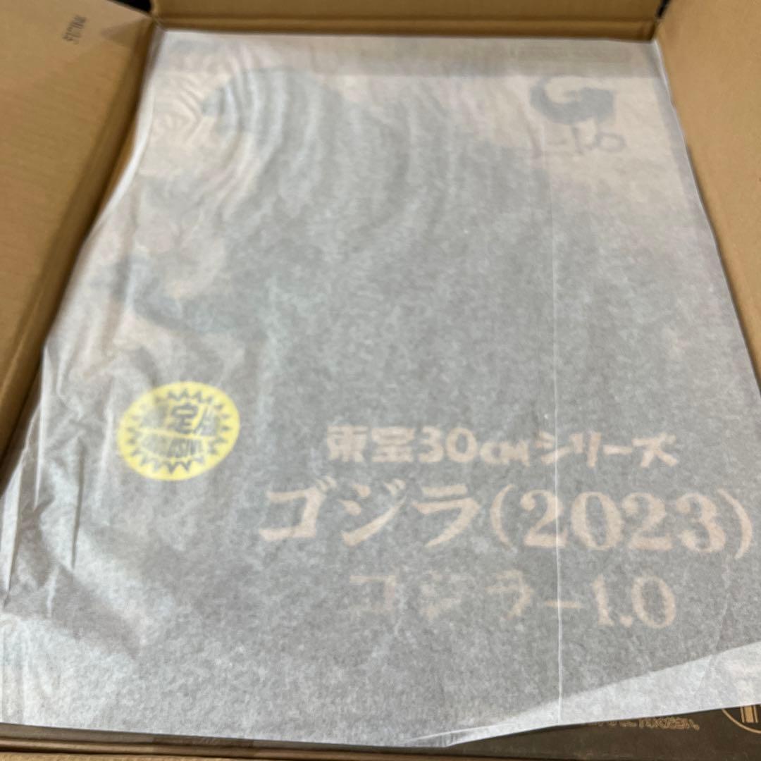 ゴジラ-1.0（2023）少年リック限定版 東宝30cmシリーズ