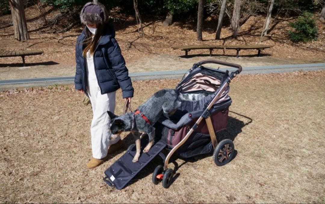 か*ん様 犬用ペットカート 折りたたみ式 ブラック