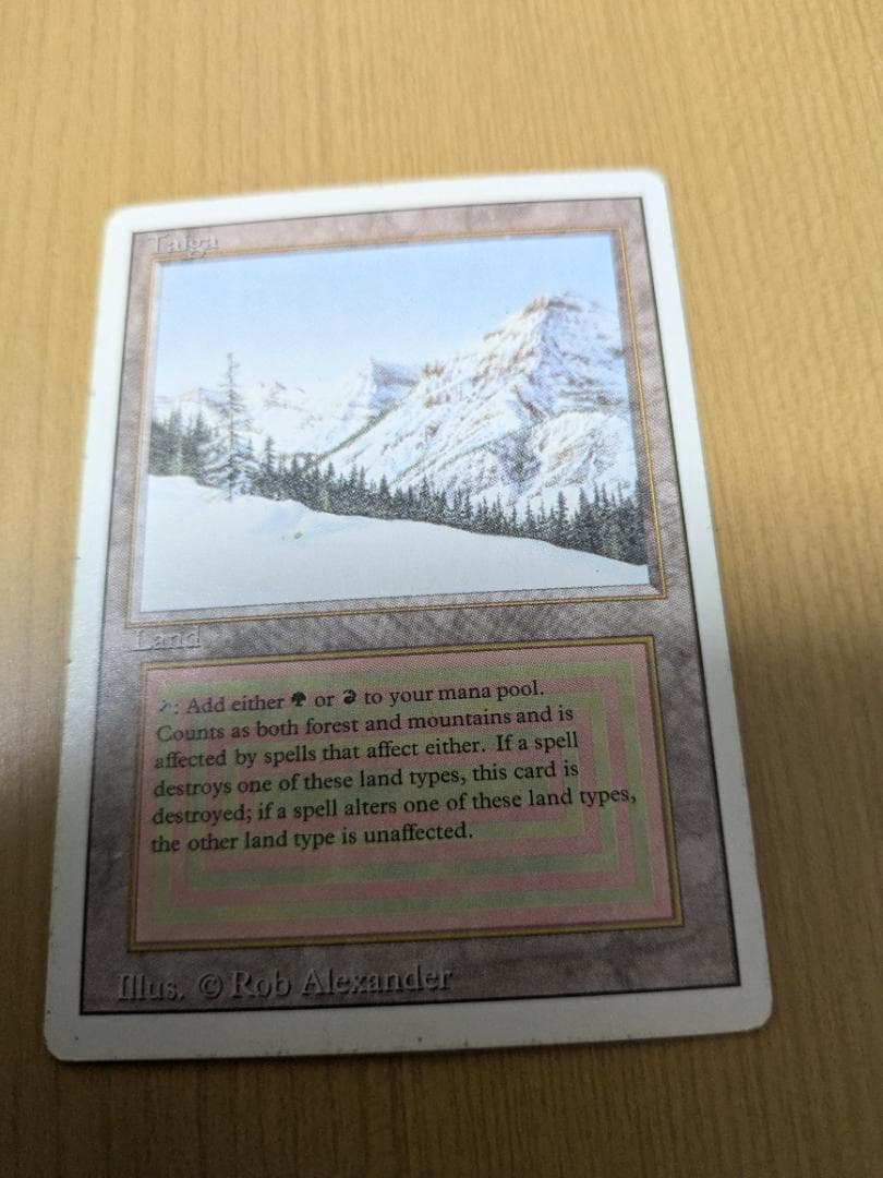 MTG　Taiga①　英語　リバイズド　送料無料