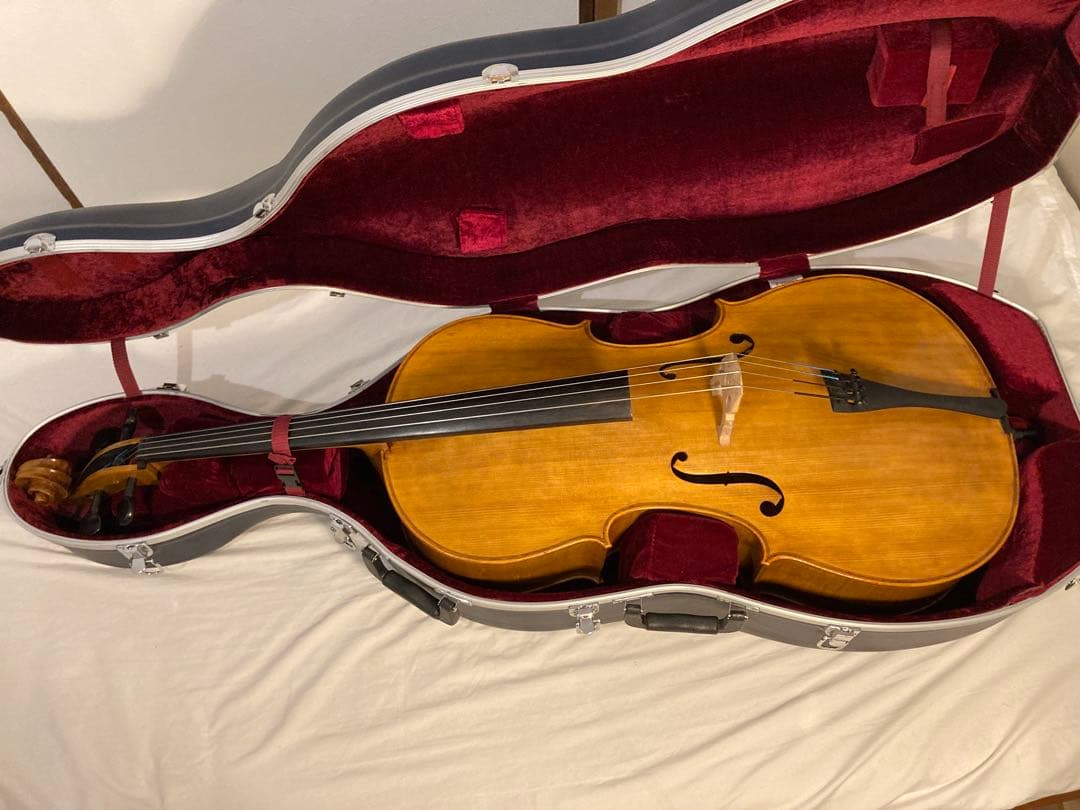 にゃんちゅうの様　チェロ