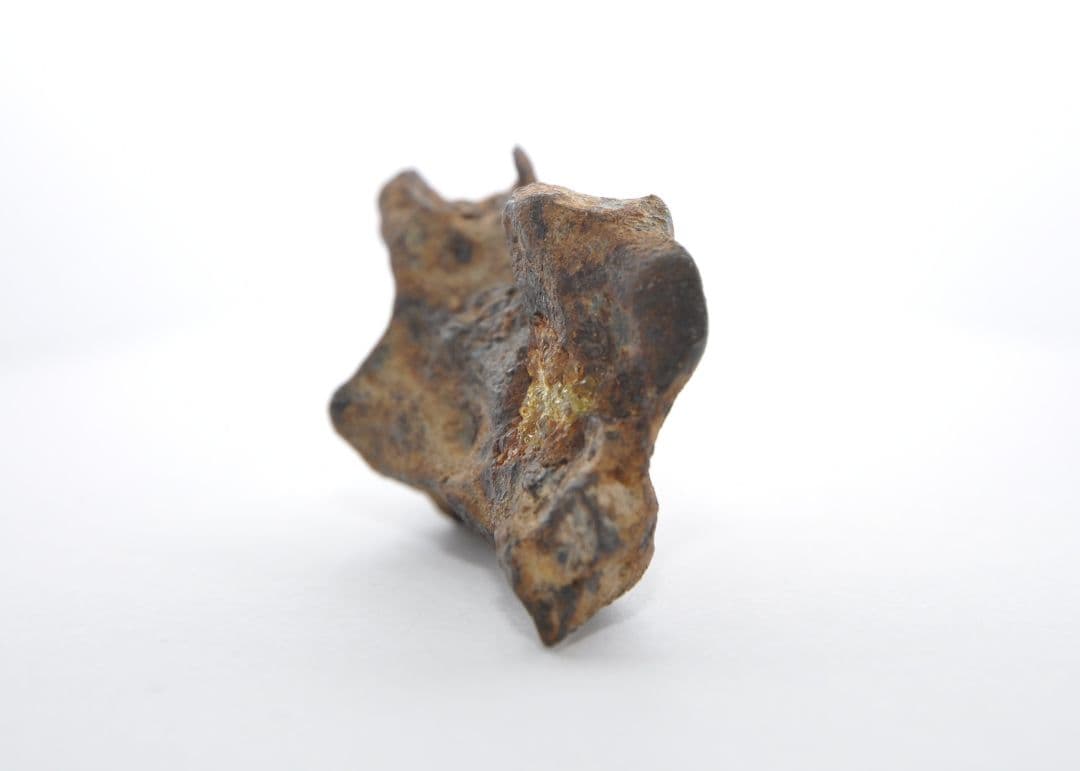 隕石 イミラック パラサイト 36.5g Imilac ⭐